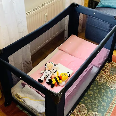 Anna & Sunny 公寓 卡尔斯鲁厄