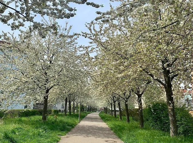 דירה Anna & Sunny